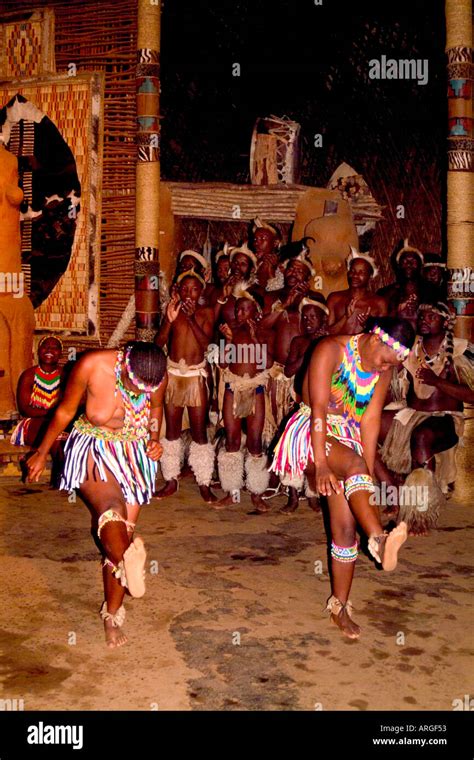 Dancers In Native Zulu Tribe At Shakaland Center South Africa Stock