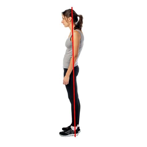 Correcting Swayback Posture An Easy To Follow Guide Dr Body Gadget