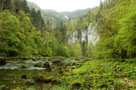 Doubs Fluss River Im Tal Des Doubs Doubstal Unterhal Flickr