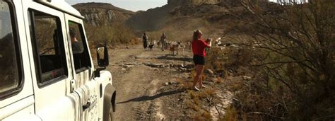 Tabernas Desert, Andalusia - Book Tickets & Tours | GetYourGuide