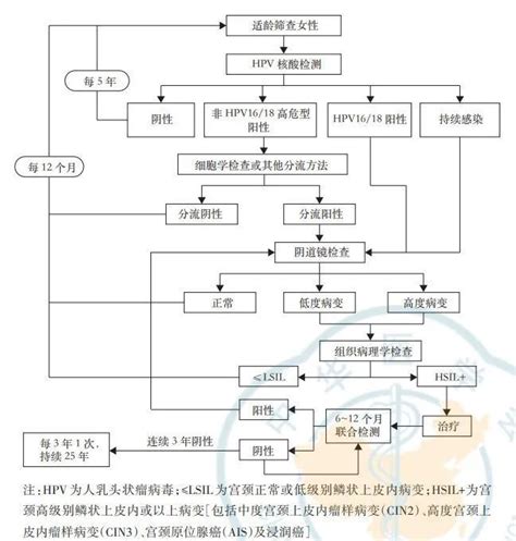 最新｜宫颈癌筛查中国专家共识推荐hpv核酸检测—明确hpv感染型别，监测持续感染，风险分层管理腾讯新闻