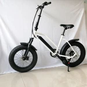 10 4ah Lithium Battery Offroad Ebike Fat Tire Adult Electric City E