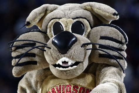 Davidson College Mascot