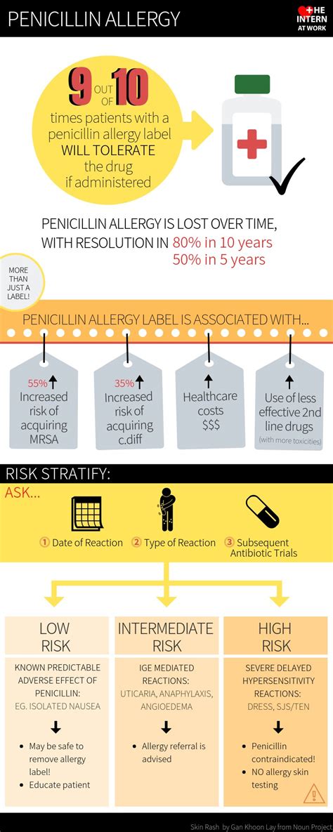 Penicillin Allergy Infographic Infographics | Medicpresents.com