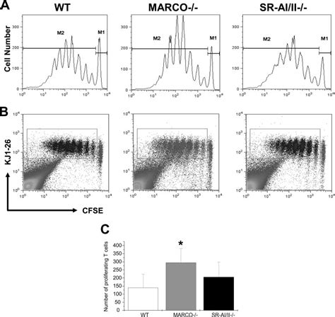 Enhanced Ag Induced T Lymphocyte Proliferation In Mediastinal Lns Of