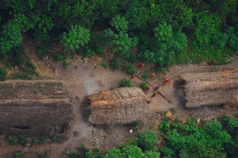 Conservation news on Uncontacted Tribes