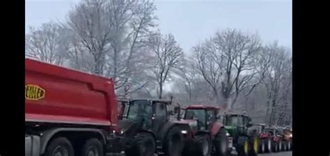 Pogledajte Snimke Sa Terena Koji Su Se Pojavili Veliki Protest U