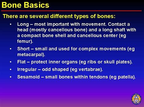 bone basics functions  bone provide  body