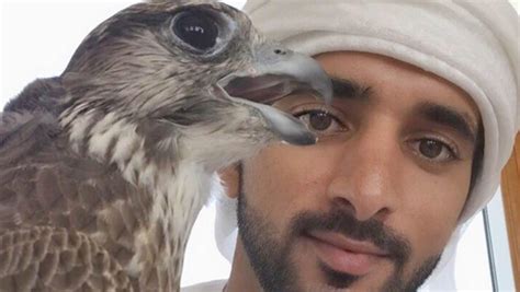 18 Photos Of HH Sheikh Hamdan With Adorable Animals | Cosmopolitan Middle East