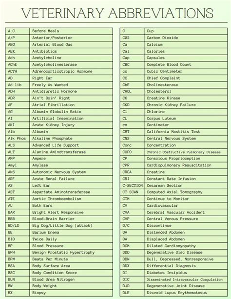 The Ultimate Guide To Veterinary Medical Abbreviations And Terminology