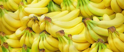 Banana Yellow Wallpapers - Top Free Banana Yellow Backgrounds ...