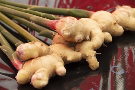 生姜の効果効能｜ダイエットや風邪に有効な栄養満点レシピもご紹介 Food For Well Being かわしま屋のwebメディア