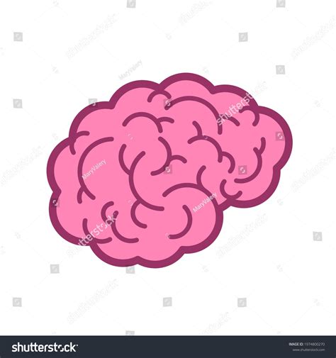 Brain Icon Brains Symbol Sign Vector Stock Vector Royalty Free