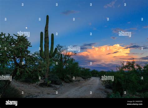 La noche desciende al final de un activo día monzónico en el Desierto ...