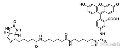 荧光素标记的生物素fitc Biotin134759 22 1操作步骤有哪些？ 知乎