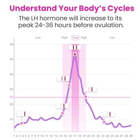 Ovulation LH Test 50 Strips | Femometer