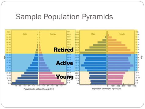 PPT - Population Pyramids PowerPoint Presentation, free download - ID ...