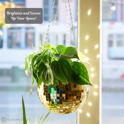 Scandinordica Disco Ball Planter Value Package Mirror Disco Planter