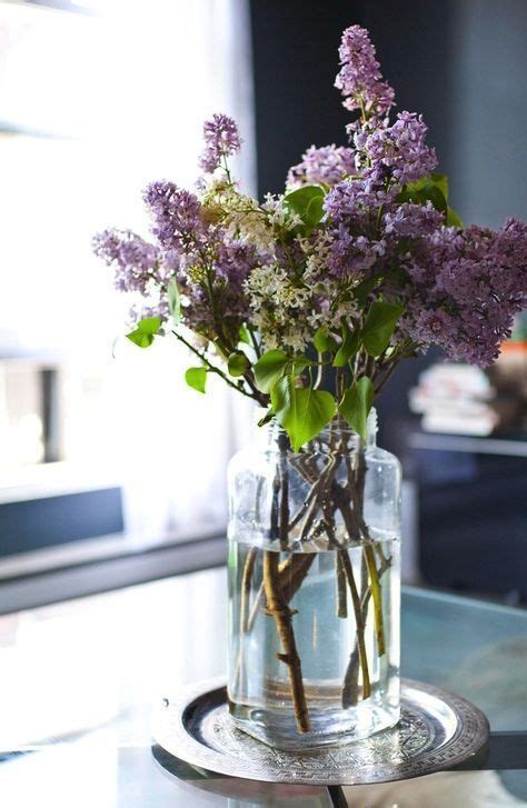 Pin by jewelsinthecrown on Lilac Dreams | Beautiful flowers, Beautiful ...