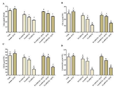 Effect Of Cd Stress On Chlorophyll Content Of Alt Inoculated And