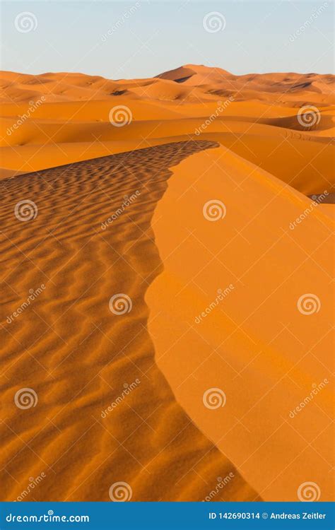 Vista Que Sorprende De Las Grandes Dunas De Arena En Sahara Desert