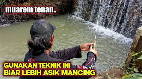 Cara Mancing Ikan Wader Kali Biar Lebih Asik Umpan Jitu Mancing