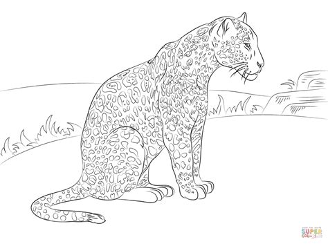 Coloriage Jaguar assis Coloriages à imprimer gratuits