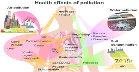 effects  pollution  health air water  land pollution  min read