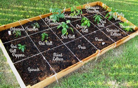 22 Square Foot Garden Boxes Ideas To Consider Sharonsable