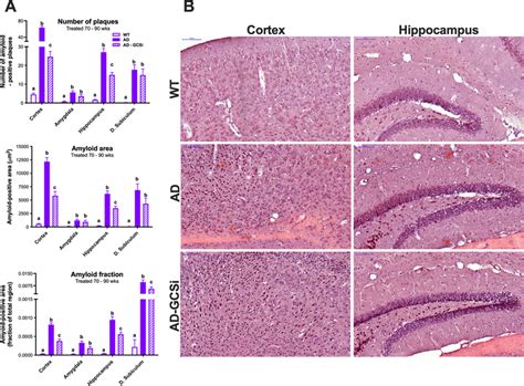 Gcsi Treatment Reduces Amyloid Plaque Burden In Aged Ad Mice A Amyloid