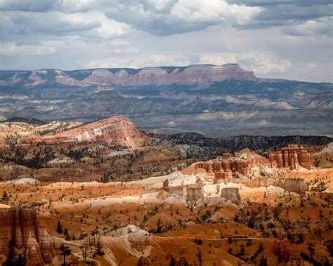 Life and Legacy: Remembering Bryce Tate