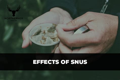 What are the Effects of Snus? - Northerner.com