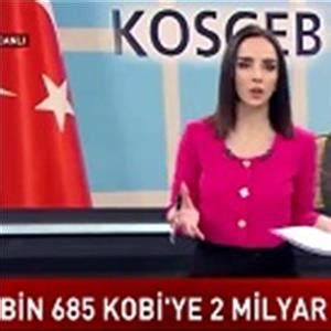 Bin 685 KOBİ ye 2 Milyar 42 Milyon TL Destek KOSGEB T C Küçük ve