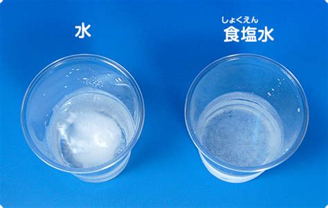 食塩水のびっくり実験（実験しよう！） やってみよう！水の自由研究 サントリー「水育」