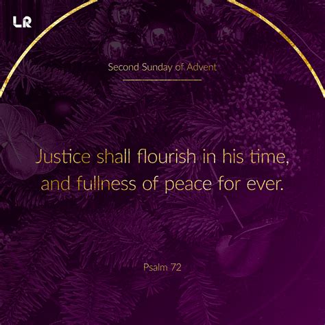 2nd Sunday of Advent — Liturgy Resources