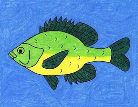 how to draw a bluegill