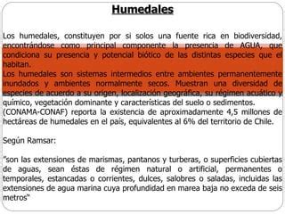 Araya DíAz Humedales PPT