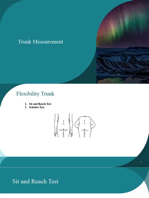 trunk  clinical medicine