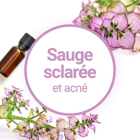 Come Usare L Olio Essenziale Di Salvia Sclarea Contro L Acne