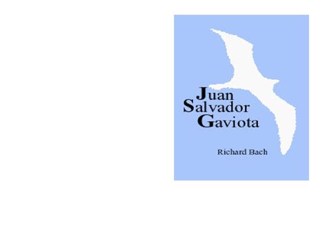 Resumen De El Libro Juan Salvador Gaviota Primera Parte Libro Gratis