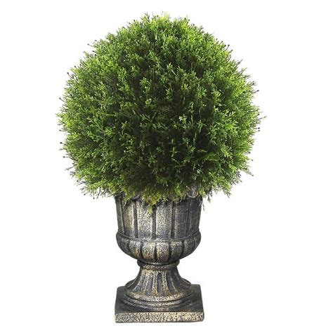 Upright Juniper Ball Topiary Tree In A Decorative Urn 27 In 2022