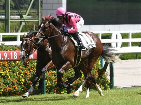 【アーリントンc出走馬・騎手確定】ディスペランツァ＆jモレイラ騎手、ジュンヴァンケット＆岩田望来騎手など16頭 ライブドアニュース