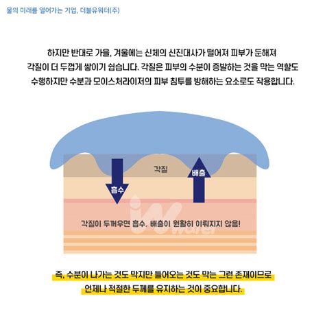 Board 더블유워터주 수분 보충을 통해 피부를 관리하자