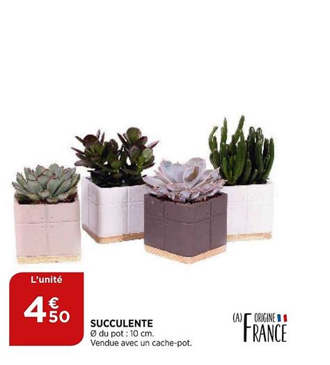 Promo Succulente Chez Atac Icatalogue Fr