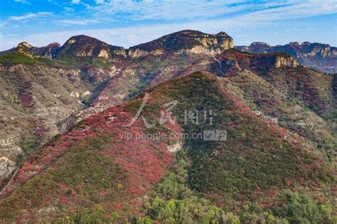 山东青州：红叶遍山野 风景美如画 人民图片网