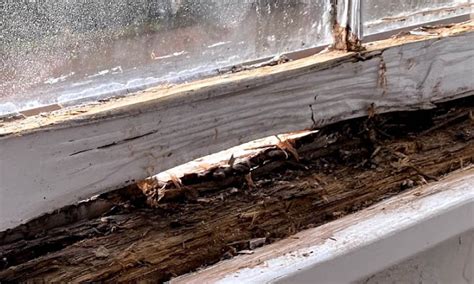 Rotten Wooden Window Frames Why It Happens And How To Fix It