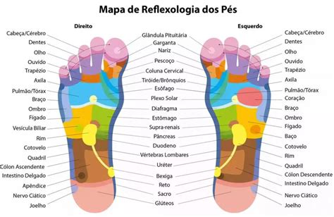 Reflexologia ConheÇa Os BenefÍcios Cris Dallo