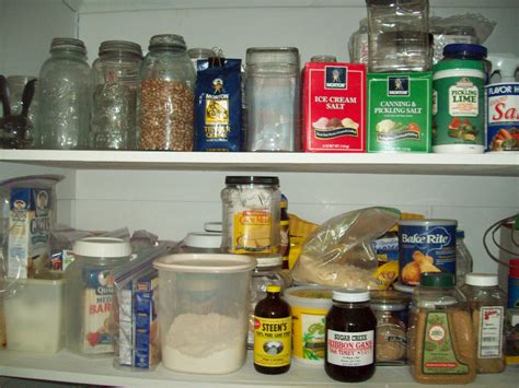 Pecan Corner: How to Prevent Weevils & Pantry Moths & Get Rid of Them ...