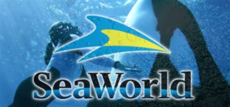 Seaworld inaugura novas atrações para os visitantes em 2017