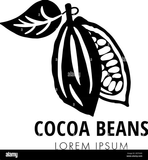 Icono De Logotipo De Cacao En Grano Negro Aislado Sobre Fondo Blanco